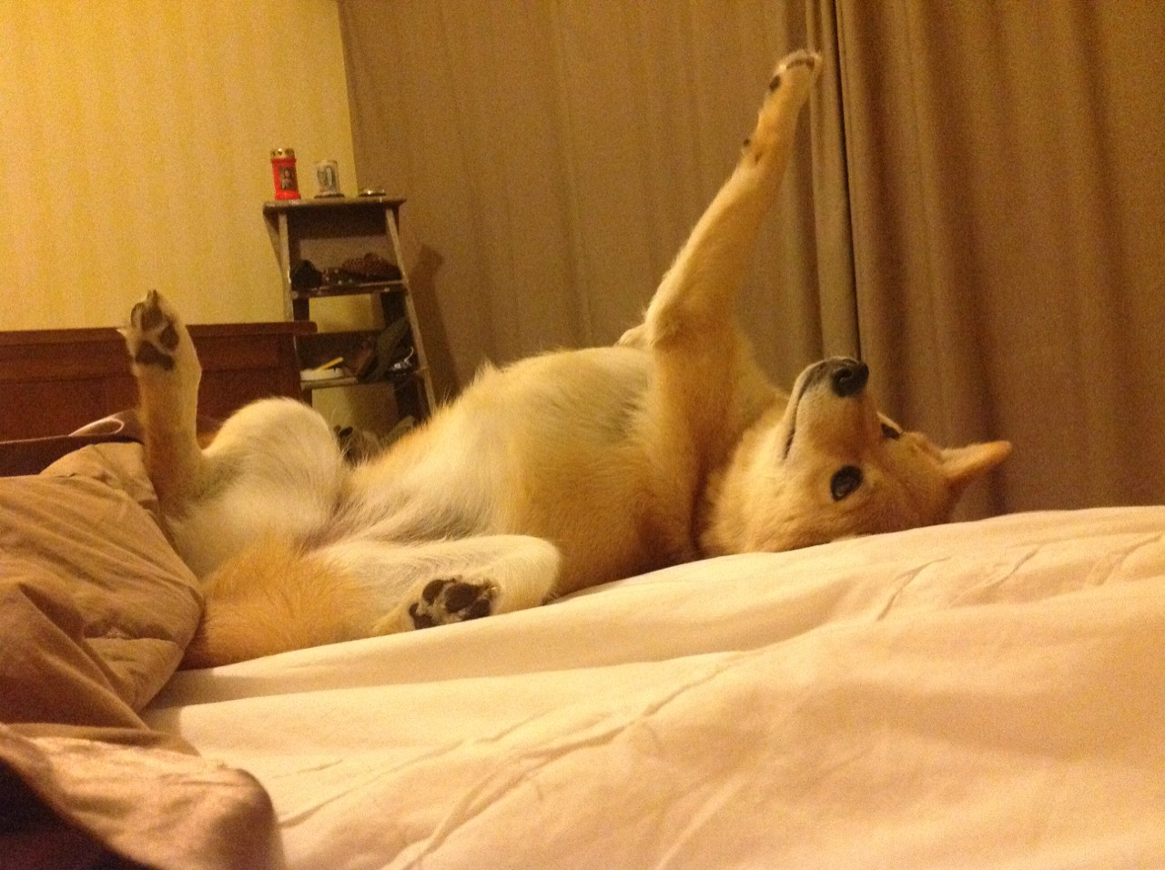 b体育在线平台-全球马拉松热潮：城市变成赛道，2021全球马拉松