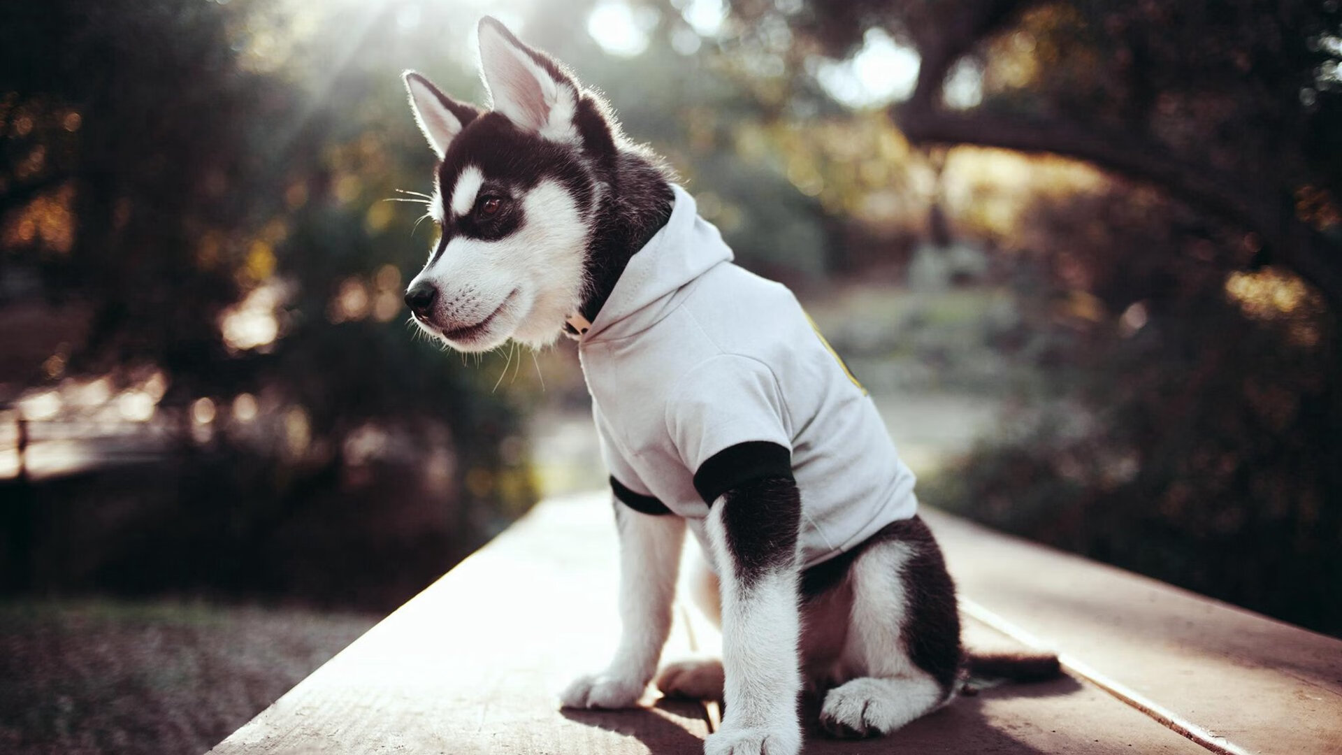 对战策略:台球比赛中的心理博弈,台球比赛如何调整心态