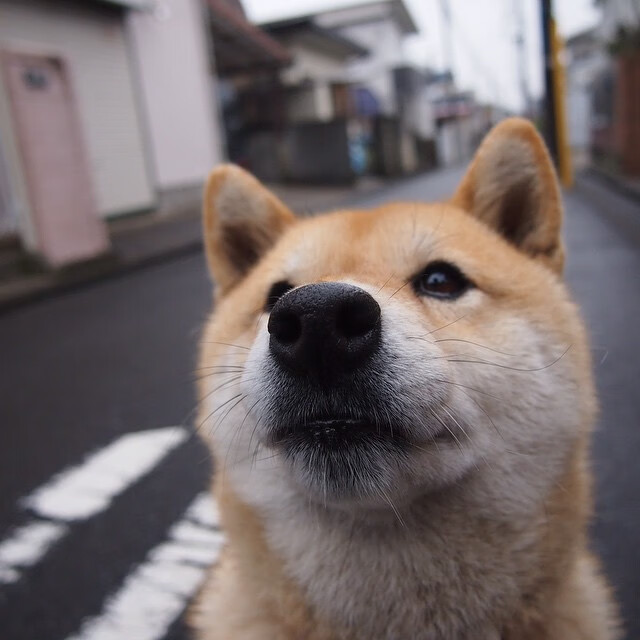 b体育网页版登录入口-球员中的创业先锋：从篮球到商界的成功转型，篮球创新创业项目商业计划书