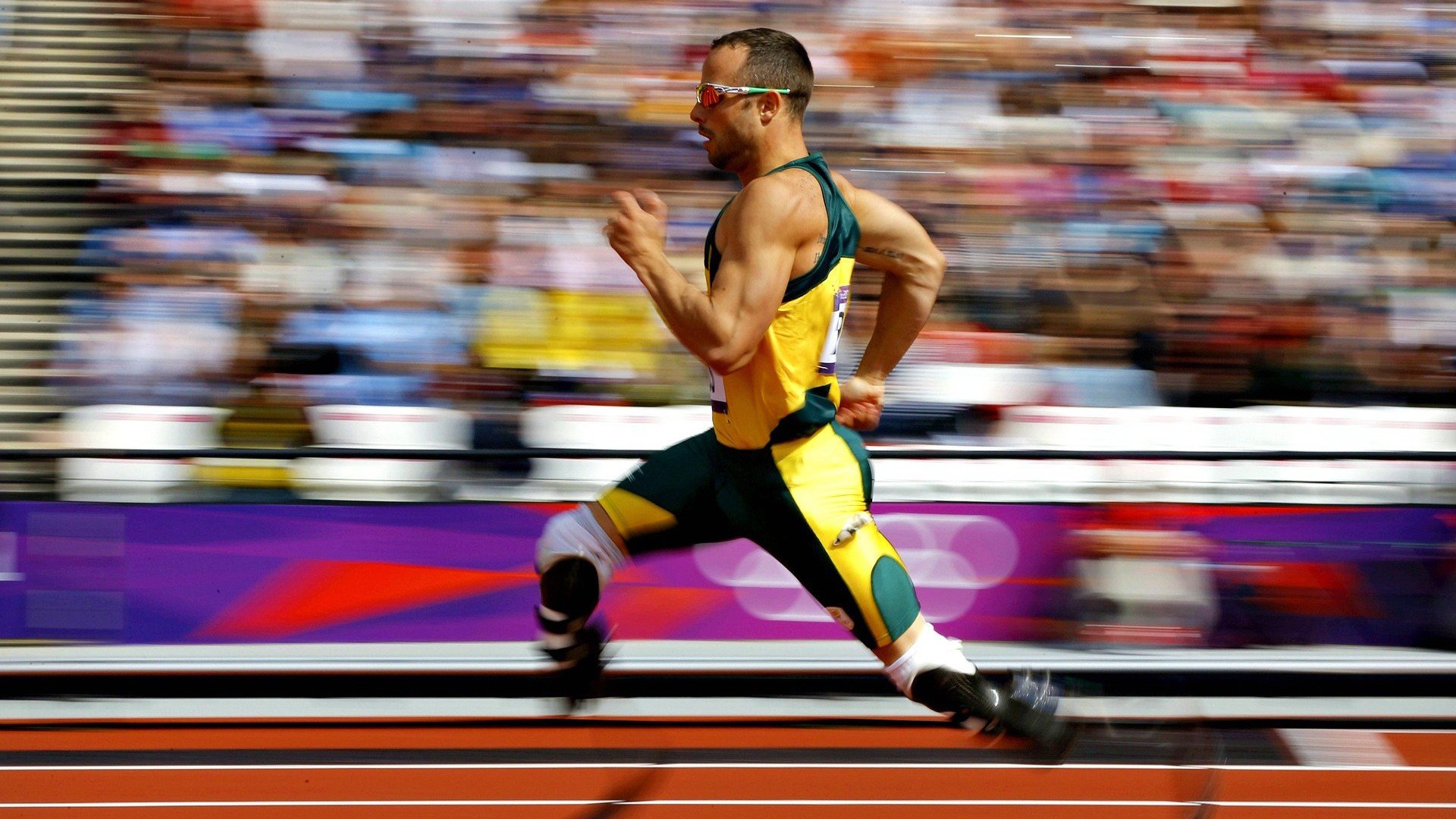 是否应设立官方战术数据库供基层教练研究