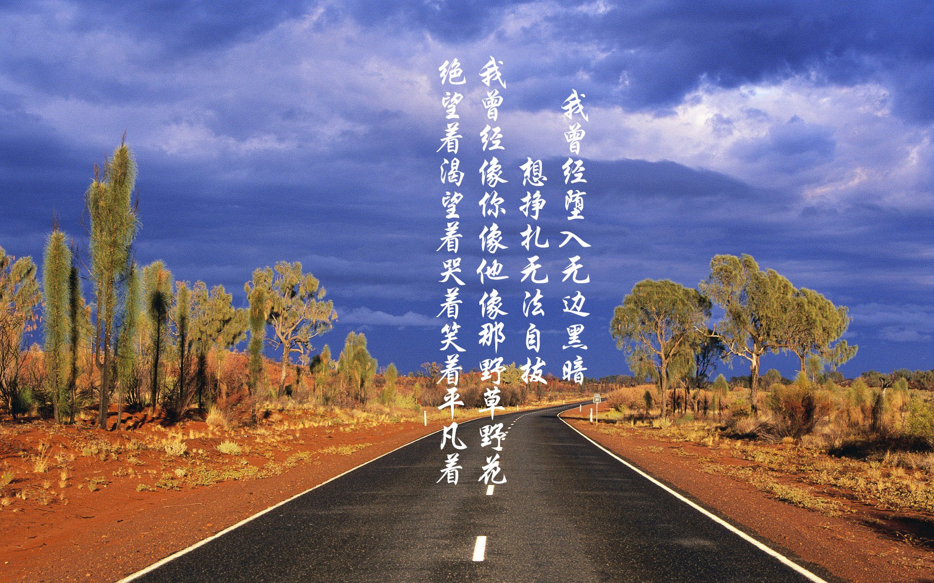 世界攀爬锦标赛中国初次参赛获好评，攀岩 世锦赛