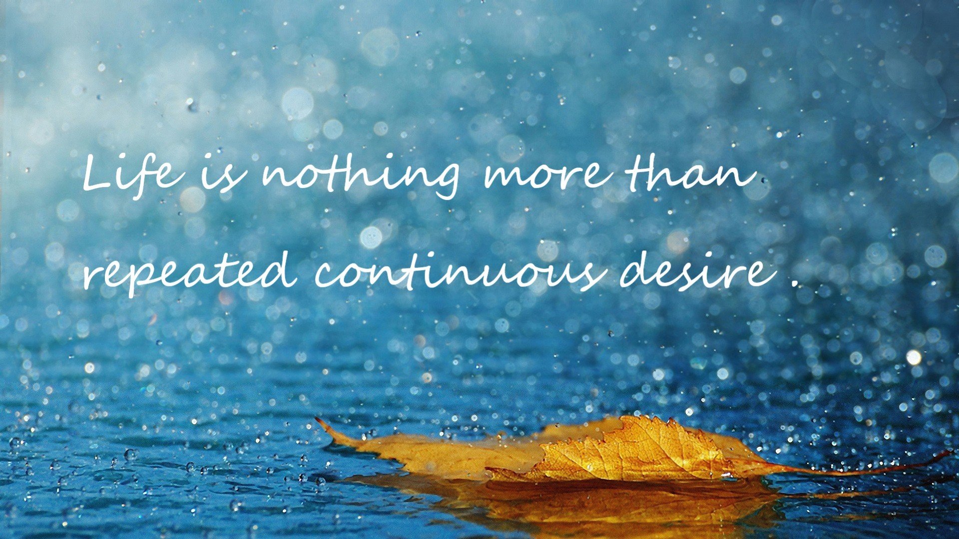 世界攀爬锦标赛中国初次参赛获好评，攀岩 世锦赛