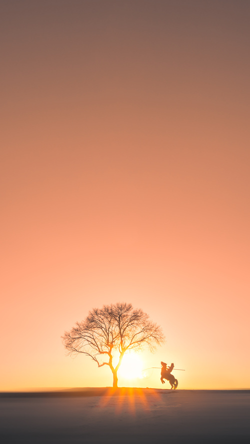 体育培训市场收费标准监管机制探讨，体育培训费属于哪一个科目