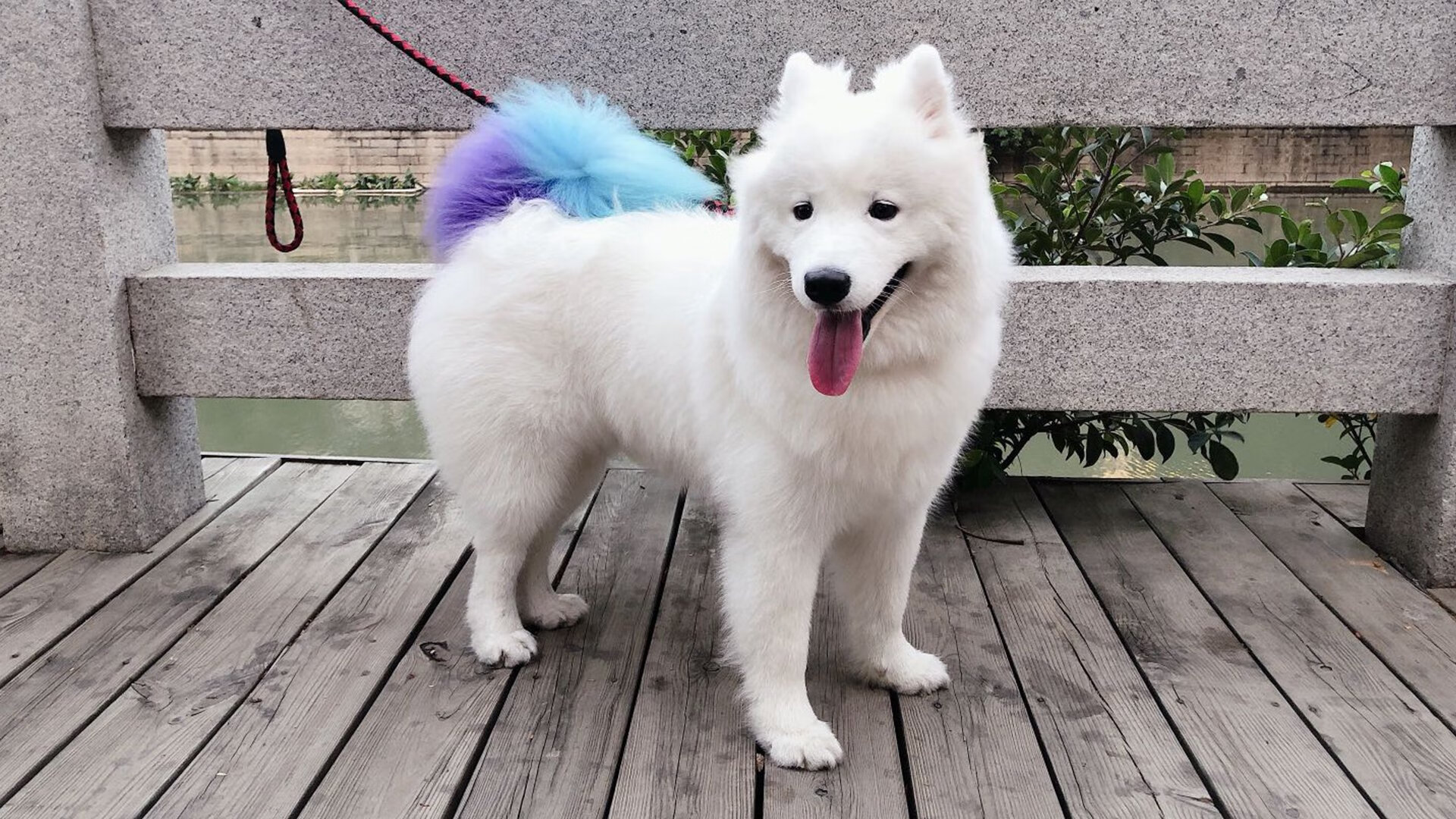 德甲球队高强度对抗期间体能消耗与技术表现关联，德甲防守最好的球队