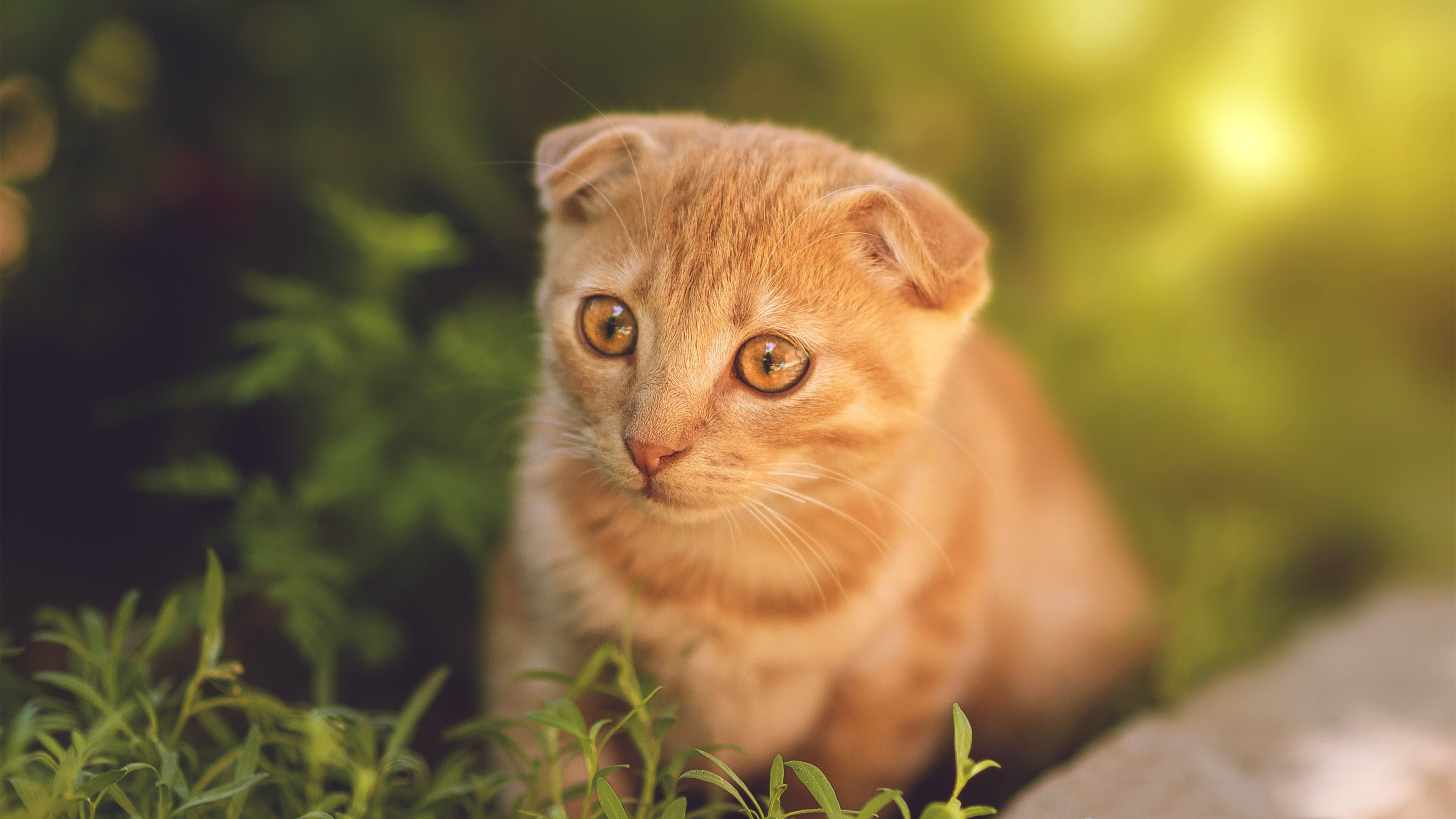 b体育平台-美洲杯明星闪耀：个人能力让对手无力招架，美洲杯足球明星