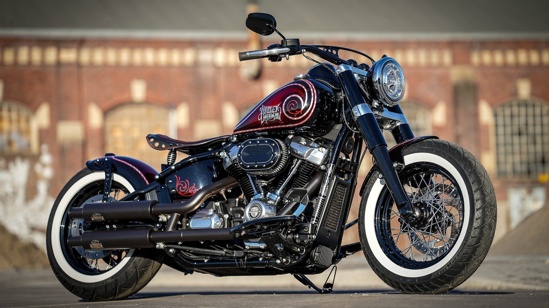 自由泳预赛奥地利全部晋级,自由泳奥运比赛