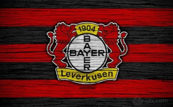 b体育下载:德甲勒沃库森的战术变革与成效的简单介绍 b体育下载:德甲勒沃库森的战术变革与成效的简单介绍